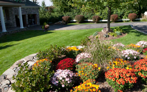 our Cedar Hill Sprinkler Repair team does landscaping 